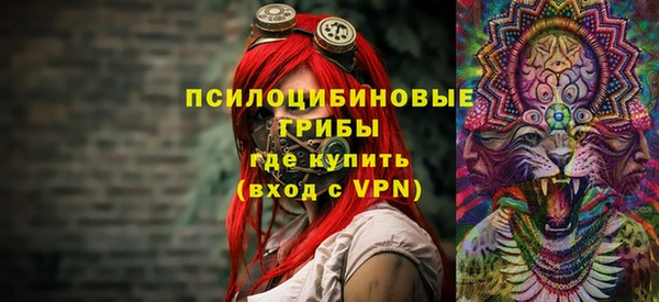 эйфоретик Новозыбков