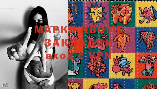 дмт Новокубанск